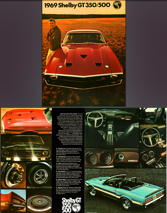 Growing Up with Muscle Cars: A Journey Through Time and Family